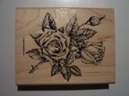 Stipple Rose - Fine detail